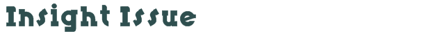 Insight Issue font download (truetype) preview image