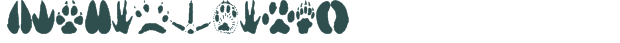 Font Preview Image for AnimalTracks