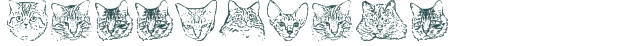 Font Preview Image for KittyPrint